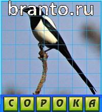 Путаница в одноклассниках