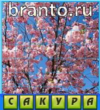 Путаница в одноклассниках