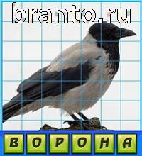 ответы на игру Путаница