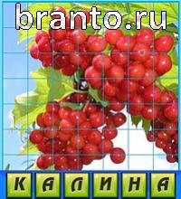 Путаница решения