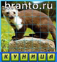 Путаница что изображено на картинке