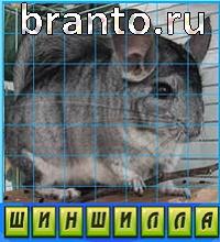 Путаница в одноклассниках