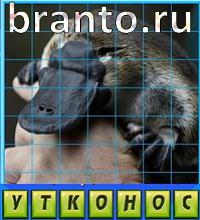 ответы на игру Путаница