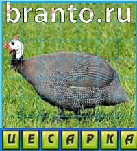 Путаница в одноклассниках