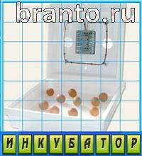 ответы на игру Путаница