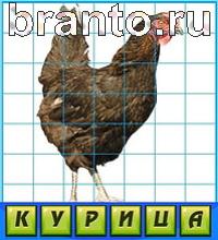 ответы на игру Путаница