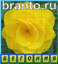 Путаница в одноклассниках