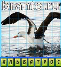 ответы на игру Путаница