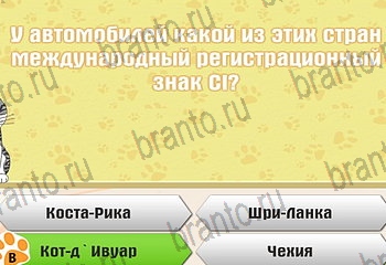 Одноклассники Самый умный котёнок ответ на Уровень 62