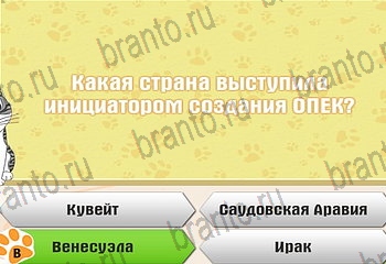 Одноклассники Самый умный котёнок прохождение игры Уровень 64