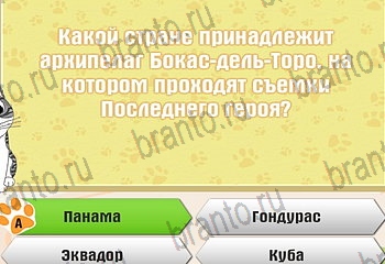 Самый умный котёнок игра из одноклассников помощь Уровень 65