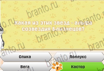 Самый умный котёнок ответы на все задания Уровень 67