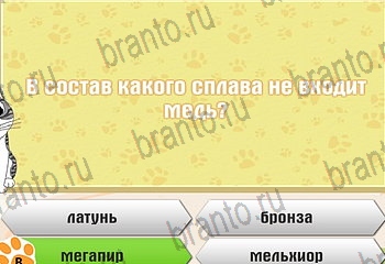Самый умный котёнок в Одноклассниках подсказки Уровень 73