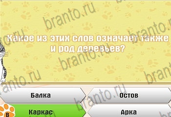 Игра Самый умный котёнок Одноклассники решения Уровень 77