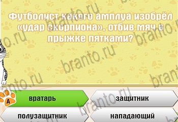 игра Самый умный котёнок все отгадки в Одноклассниках Уровень 80