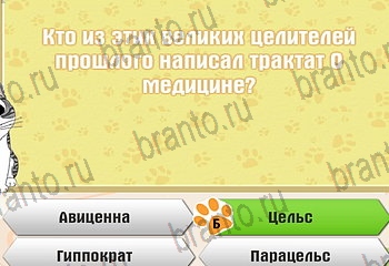 Самый умный котёнок разгадки к игре Уровень 81