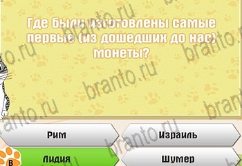 игра Самый умный котёнок разгадки на все задания Уровень 82