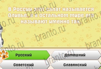 Самый умный котёнок все ответы Уровень 83