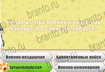 игра Самый умный котёнок все ответы Уровень 84