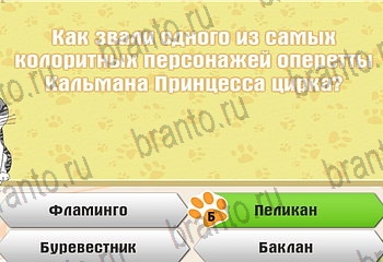 ответы на все уровни игры Самый умный котёнок Уровень 85