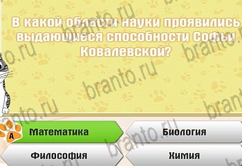 подсказки на все уровни игры Самый умный котёнок Уровень 86