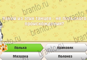 все решения к игре Самый умный котёнок Уровень 87