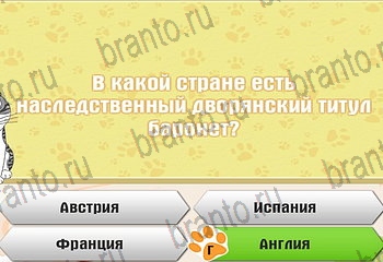 решения на все задания игры Самый умный котёнок Уровень 88