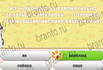 игра Самый умный котёнок ответы уровень 90
