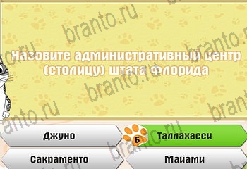 Одноклассники Самый умный котёнок решебник к игре в Одноклассниках Уровень 96