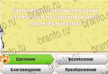Самый умный котёнок ответы на все задания Уровень 97