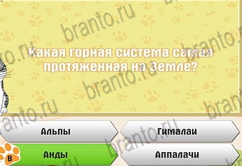 Самый умный котёнок ответы Уровень 100