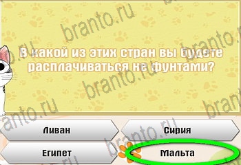 из одноклассников Самый умный котёнок ответы на игру Уровень 102