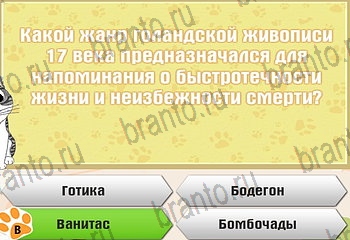 Самый умный котёнок в Одноклассниках подсказки Уровень 103