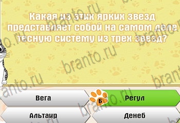 игра Самый умный котёнок из одноклассников подсказки Уровень 104