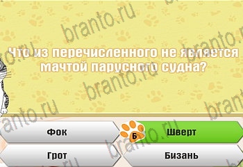 игра Самый умный котёнок все ответы Уровень 114