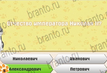 ответы на все уровни игры Самый умный котёнок Уровень 115
