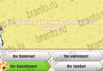 подсказки на все уровни игры Самый умный котёнок Уровень 116