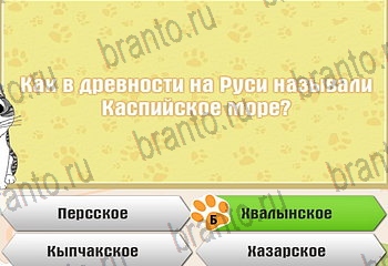 все решения к игре Самый умный котёнок Уровень 117