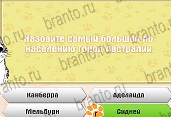 Самый умный котёнок игра ответы Уровень 119