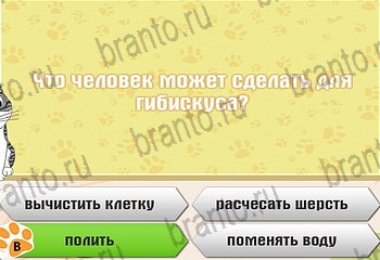 Самый умный котёнок ответы Уровень 121