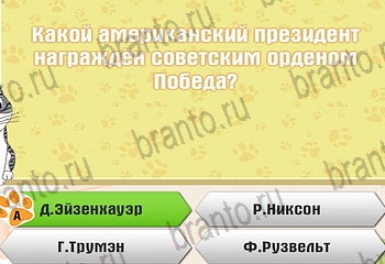 Самый умный котёнок Одноклассники подсказки Уровень 123