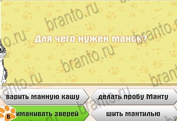 Самый умный котёнок ответы на все задания Уровень 127
