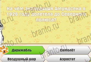 Самый умный котёнок в Одноклассниках найти ответы Уровень 128