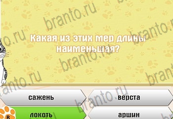 Игра Самый умный котёнок Одноклассники решения Уровень 137