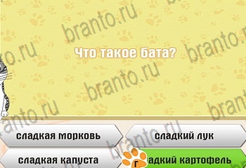 Самый умный котёнок Одноклассники решения на игру Уровень 138