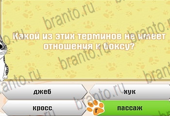 Самый умный котёнок все отгадки Одноклассники Уровень 139