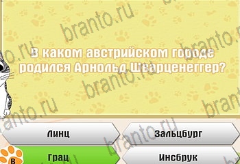 Самый умный котёнок разгадки к игре Уровень 141