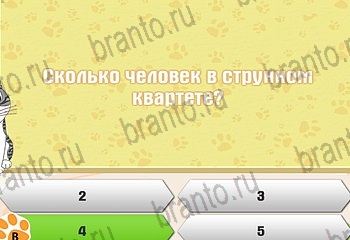 игра Самый умный котёнок разгадки на все задания Уровень 142