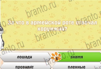 Самый умный котёнок все ответы Уровень 143