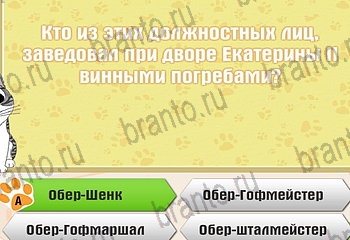 игра Самый умный котёнок все ответы Уровень 144